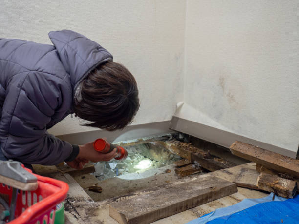 Best Asbestos and Lead Testing During Mold Inspection  in Country Clu, FL