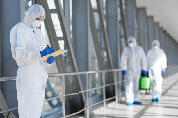 Country Clu, FL Mold Removal Company