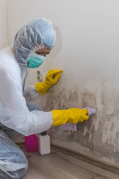 Mold Documentation for Insurance Claims in Country Clu, FL