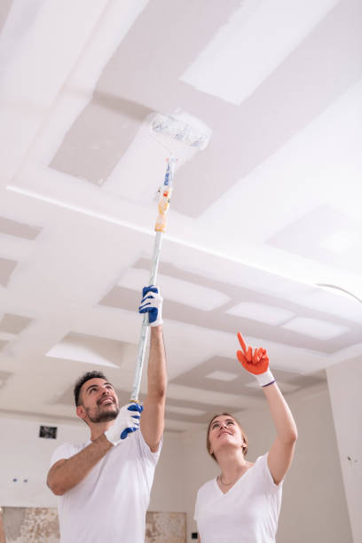 Best Attic Mold Removal  in Country Clu, FL