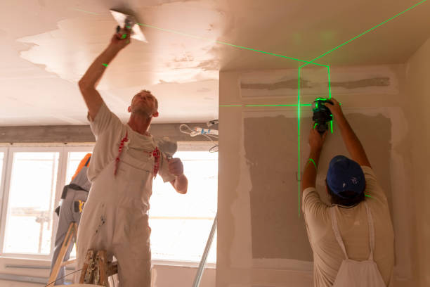 Best Basement Mold Removal  in Country Clu, FL
