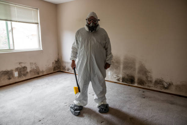 Biohazard Mold Removal in Country Clu, FL